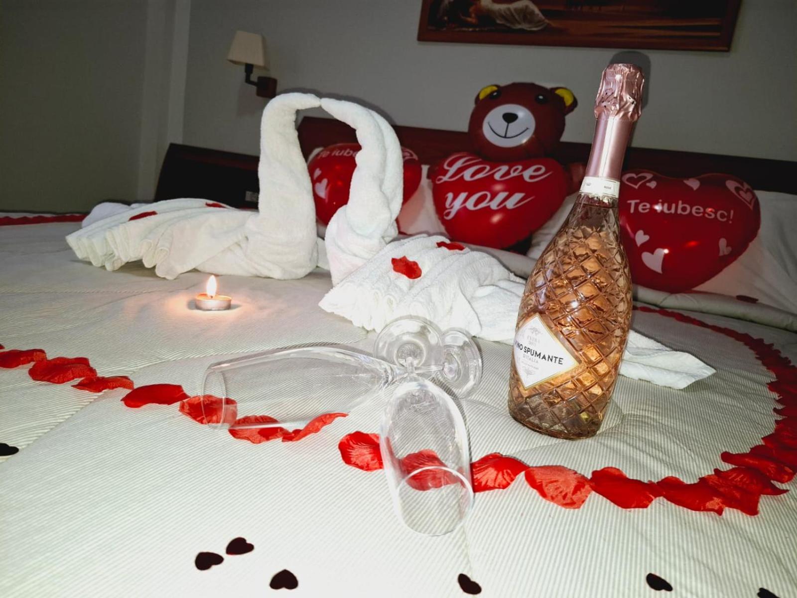 Hotel Vila Veneto 蒂米什瓦拉 外观 照片